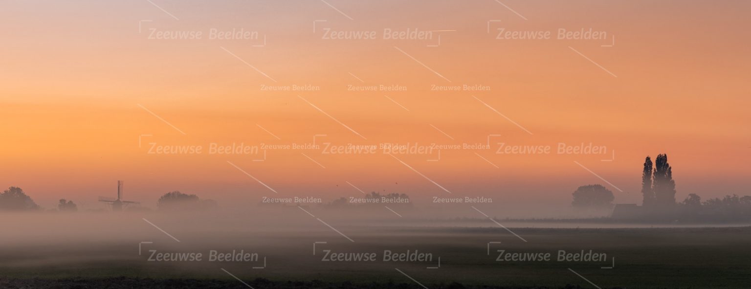 Panoramafoto platteland op een mistige ochtend