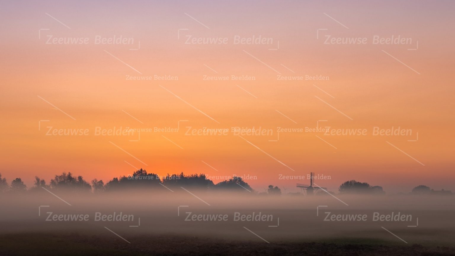 Platteland op een mistige ochtend 2