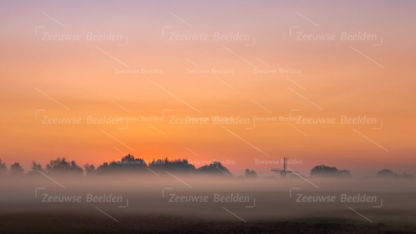 Platteland op een mistige ochtend 2
