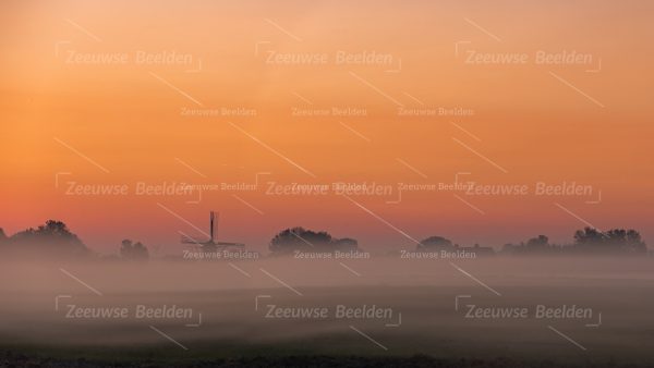 Platteland op een mistige ochtend