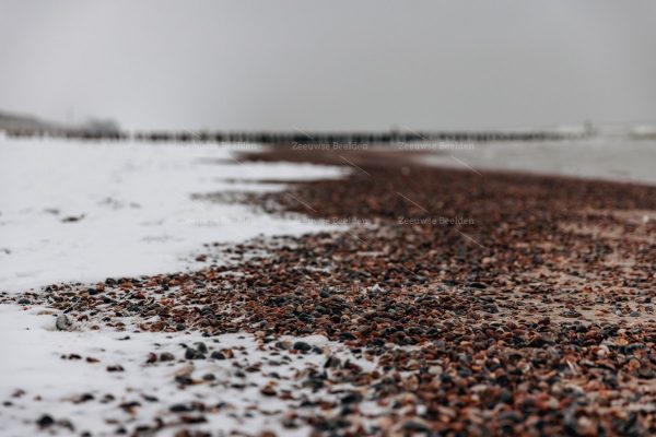 Schelpen en sneeuw
