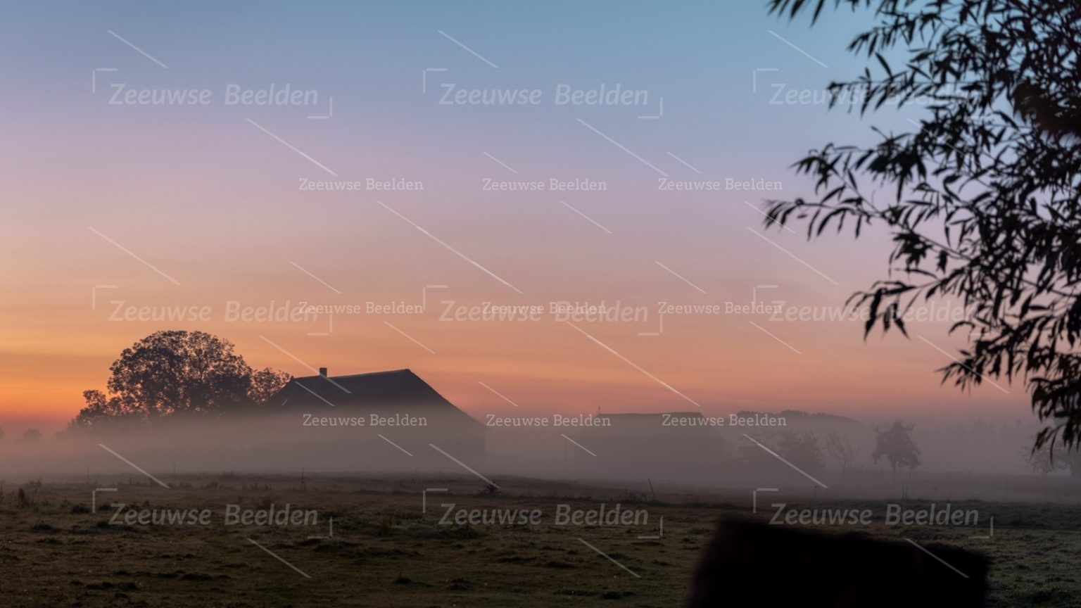 Zonsopkomst op een mistige boerderij 2