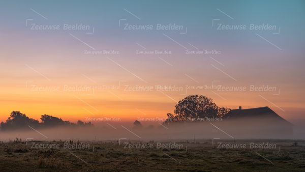 Zonsopkomst op een mistige boerderij