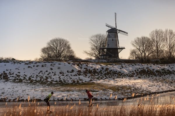 Schaatsers tussen het hoge gras bij Molen De Koe