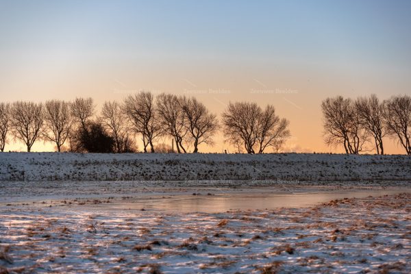 Winterse zonsopkomst tussen de sneeuw