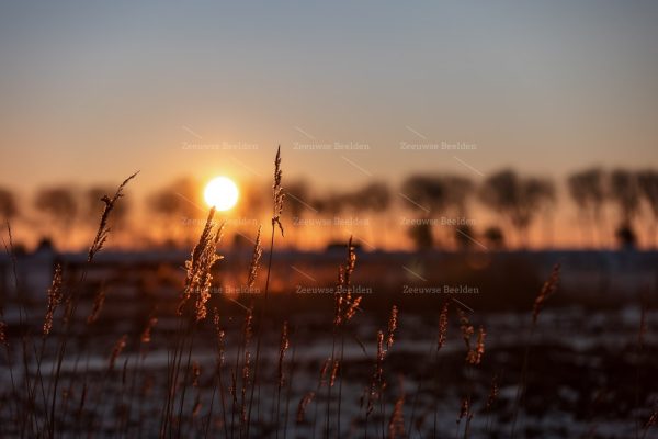 Zonsopkomst tussen de velden in Walcheren